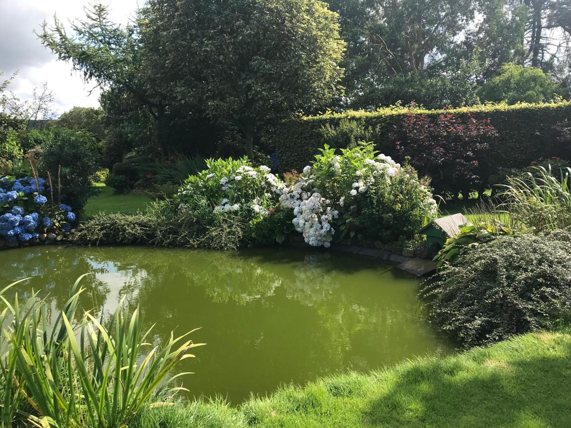 The Garden Cottage, Inglewhite エクステリア 写真